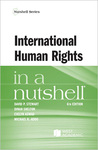 International Human Rights in a Nutshell by David P. Stewart, Dinah Shelton, Evelyn Aswad, and Michael K. Addo